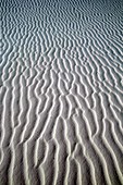 Wind Patterns in sand White Sands National Monument New Mexico