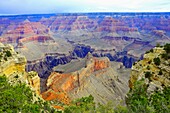 South Rim Vista Grand Canyon National Park Arizona