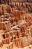 Inspiration Point Bryce Canyon National Park Utah