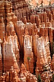 Inspiration Point Bryce Canyon National Park Utah