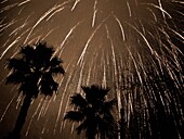 Midnight fireworks in the Turia park (Valencia, Spain)