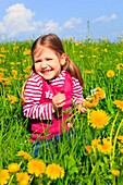 girl sitting in field of Dandelions, Zuercher Oberland, Zuerich, Switzerland