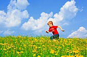 boy running through field of Dandelions, Zuercher Oberland, Zuerich, Switzerland