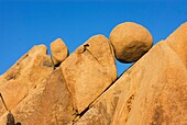 Jumbo Rocks Joshua Tree National Park California