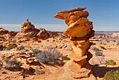Fragile layered rock formation, South Coyote Buttes, Vermilion Cliffs Wilderness Utah