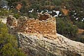 Anasazi ruins perched above Bullet Canyon, Grand Gulch Primitive Area, Cedar Mesa Utah