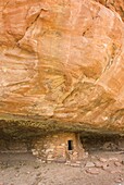 Anasazi granaries in Grand Gulch, Cedar Mesa Utah