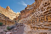 above, canyon, Colorado Plateau, craggy, dramatic, eroded, erosion, narrow, odd, reef, Rock formation, San Rafael, sandstone, sculpt, sedimentary, shape, southwest, spectacular, strange, twisted, unusual, upward, USA, Utah, weathered, weird, M28-1151390, 