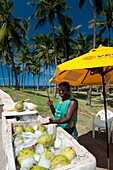 Coconut seller, Farol da Barra beach, Salvador de Bahia, Brasil