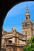 Cathedral and Giralda tower, Sevilla. Andalusia, Spain