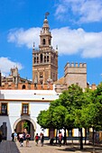 Giralda tower, Sevilla. Andalusia, Spain