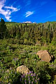 Sneffels Range above Ridgway, Colorado USA