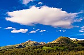 Landscape on Gothic Road, near Crested Butte, Colorado USA