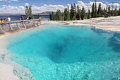 Black Pool, West Thumb Geyser Basin, Yellowstone Lake Area, Yellowstone National Park, Wyoming, USA