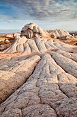 Arizona, Delicate, Desert, Landscape, Nature, Page, Rock, Sandstone, Scenic, Southwest, Swirls, United states of america, White pockets, S19-1107405, agefotostock