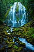 Berg, Cascade mountain, Falls Proxy, landschaft, Oregon, Strom, traumhaft, USA, Wasser, Wasserfall, S19-1190541, AGEFOTOSTOCK