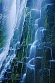 Berg, Cascade mountain, Falls Proxy, landschaft, Oregon, Strom, traumhaft, USA, Wasser, Wasserfall, S19-1190543, AGEFOTOSTOCK