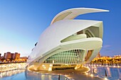 arts palace queen sofia in the city of arts and sciences, Valencia, Spain