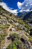 Tejea Gorge Trail in the Sierra de Gredos Avila Spain Castilla León