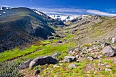 Throat Galín Gómez in the Sierra de Gredos Castilla León Spain