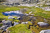 Pozas river in Sierra de Gredos Ávila Castilla León Spain