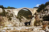 medieval bridge over the river Llierca, Garrotxa, Girona, Catalonia, Spain