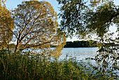Lake Ivenack, Ivenack, Mecklenburg Switzerland, Mecklenburg-Vorpommern, Germany