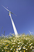 Wind turbines, Dithmarschen, Schleswig-Holstein, Germany