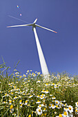 Wind turbine, Dithmarschen, Schleswig-Holstein, Germany