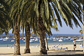 sandy beach, palm trees and boats at Playa de las Teresitas, San Andres, Tenerife, Canary Islands, Spain