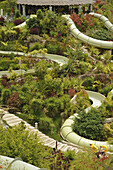 Wasserutschen im Siam Park in tropischem Garten, Las Americas,  Süden, Teneriffa, Kanaren, Spanien