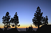 Silhuetten von Mann und Bäumen an Aussichtspunkt Mirador Ortuno mit Blick über das Wolkenmeer nach La Palma kurz nach Sonnenuntergang, Esperanza Wald, Teneriffa, Kanaren, Spanien