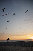 Young Boy On The Beach At Sunset, Somme (80), Picardy, France