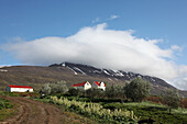 Dairy Farm In The Area Around Akureyri, Northern Iceland, Europe, Iceland