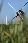 Wind Turbines And The Levesville La Chenard Windmill Seen Through The Stalks Of Wheat, Wind Park Of The Beauce, Eure-Et-Loire (28), France