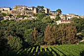 Cote Du Ventoux Vineyards In Front Of The Fortified Village Of Menerbes, One Of The Most Beautiful Villages In France, Vaucluse (84), France