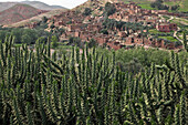 Berber Village Of Azrou, Terres d'Amanar, Al Haouz, Morocco