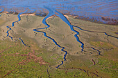 Tideway in mudflats, Lower Saxony, Germany