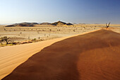Rote Sanddüne über Savanne, bei Namib Naukluft National Park, Namibwüste, Namibia
