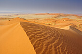 Red sand dunes in Namib Rand Nature Reserve, Namib desert, Namibia