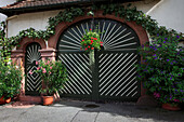 Gate of a vinery, Bickensohl, Kaiserstuhl, Breisgau, Black Forest, Baden-Württemberg, Germany