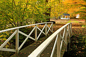 Bridge, palace garden in autumn, Schlemmin, Mecklenburg-Western Pomerania, Germany