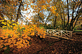 Bridge at the palace garden, Schlemmin, Mecklenburg-West Pomerania, Germany