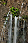 Wasser und Moos an einer Mauer, Canal de Castilla, Fromista, Provinz Palencia, Altkastilien, Castilla y Leon, Nordspanien, Spanien