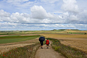 Pilger auf einem Weg zwischen Feldern, Provinz Burgos, Altkastilien, Castilla y Leon, Nordspanien, Spanien, Europa