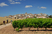 Pilgrims near vineyard, Cirauqui, Navarra, Spain