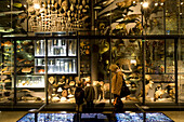 People at Berlin Museum of Natural History, Invalidenstrasse, Berlin-Mitte, Berlin, Germany, Europe