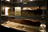 Museum of Ethnology Hamburg, exhibition of Egyptian culture, Hanseatic city of Hamburg, Germany, Europe
