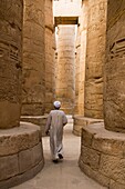 the mighty colums of Karnak Temple in Luxor