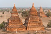 Myanmar. Burma. Bagan. Ancient Buddhist temples on the central plain of Bagan . The Bagan dynasty built 2, 229 temples in 200 years.